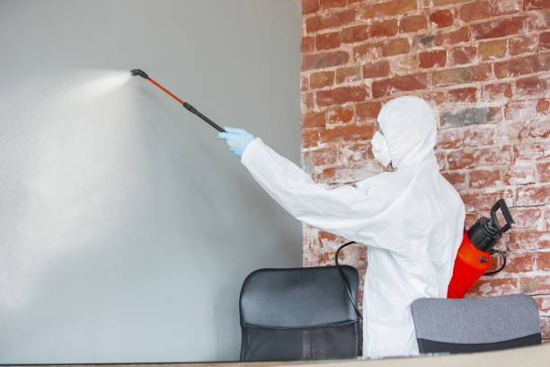 Best Indoor Air Quality Assessment  in East Hampton North, NY