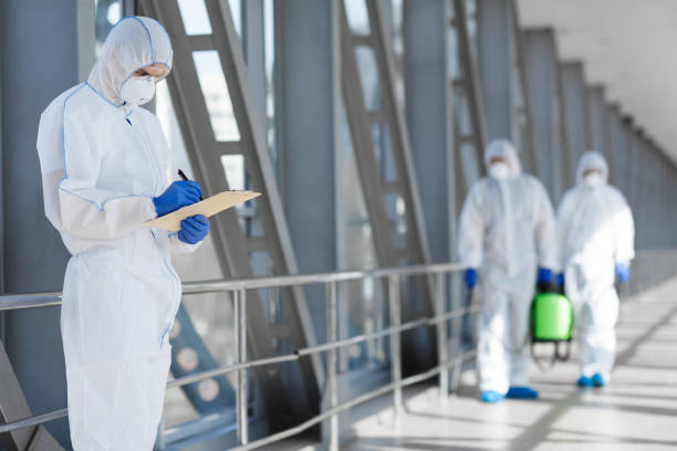 Best Mold Removal for HVAC Installations  in East Hampton North, NY
