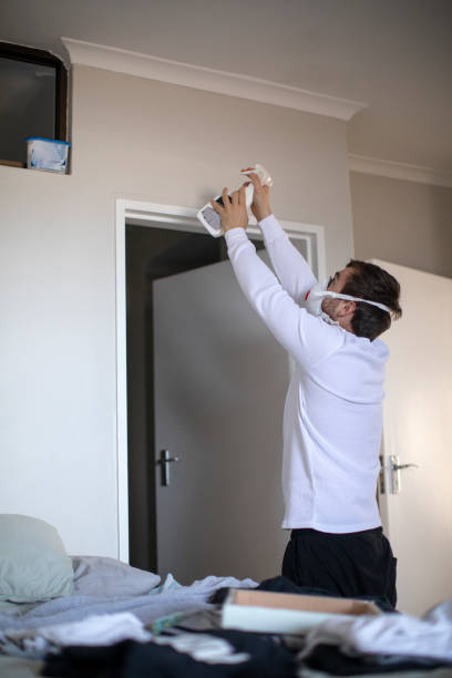 Trusted East Hampton North, NY Mold Removal Experts