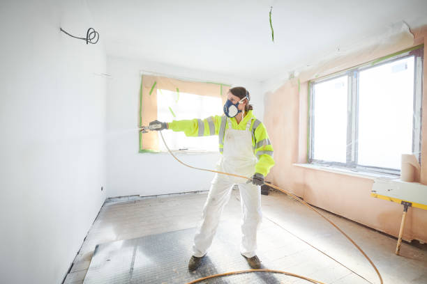 Best Attic Mold Removal  in East Hampton North, NY