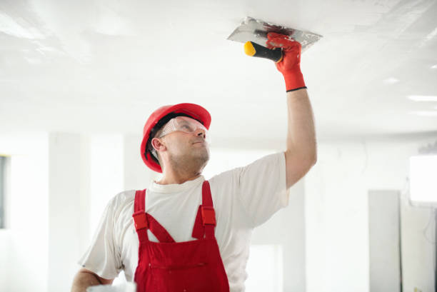  East Hampton North, NY Mold Removal Pros