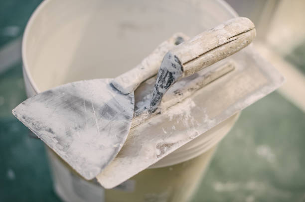 Best Mold Documentation for Insurance Claims  in East Hampton North, NY