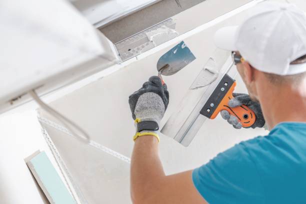 Best Forensic Mold Investigation  in East Hampton North, NY